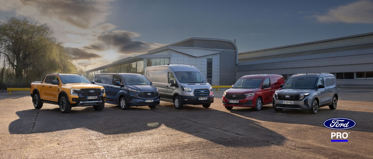 promotii comerciale 1 desktop