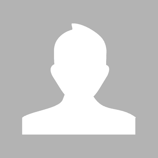 Sorin Pirvu - Consultant service